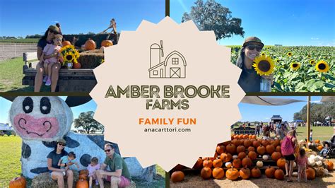 amber brooks farm|amber brook farm williston florida.